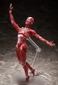 figma 人体模型 フリーイング, FRE10427, by FREEing