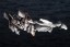 ゴジラ対エヴァンゲリオン エヴァンゲリオン初号機 メカゴジラカラー Ver. (再販) コトブキヤ, KBY73979, by コトブキヤ