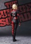 S.H.Figuarts ハーレイ・クイン (ザ・スーサイド・スクワッド “極”悪党、集結) バンダイ, BAN15220, by バンダイ