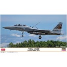 1/72 F-15DJ イーグル パシフィックスカイズ 2024 ハセガワ, HAS24847, by ハセガワ