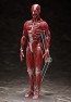 figma 人体模型 フリーイング, FRE10427, by FREEing