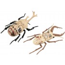 自由研究シリーズ No.256 進撃の巨人編 カブトムシ & クワガタムシ 無垢の巨人仕様 フジミ, FUJ71715, by フジミ