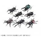 アニアくじ4 森林の王者 昆虫コレクション タカラトミー, TAK31663, by タカラトミー
