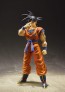 S.H.Figuarts ドラゴンボール 孫悟空-地球育ちのサイヤ人- バンダイ, BAC55403, by バンダイ