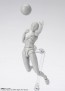 S.H.Figuarts  ボディちゃん -スポーツ- Edition DX SET (Gray Color Ver.) バンダイ, BAC49348, by バンダイ