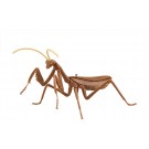自由研究シリーズ いきもの編 オオカマキリ (茶色) フジミ, FUJ70978, by フジミ