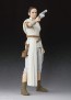 S.H.Figuarts  レイ & D-O (STAR WARS: The Rise of Skywalker) (再販) バンダイ, BAC60503, by バンダイ