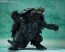 S.H.MonsterArts GAMERA -Rebirth- ガメラ (2023) バンダイ, BAC51488, by バンダイ