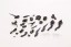 1/24 ヘキサギア ジーク・スプリンガー コトブキヤ, KBY30880, by コトブキヤ