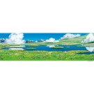 950ピース ジグソーパズル  スタジオジブリ背景美術シリーズ ハウルのひみつの庭 (34x102cm) エンスカイ, ENS54288, by エンスカイ