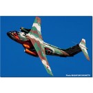 1/144 航空自衛隊 C-1輸送機 LAST TOUR フェニックス特別塗装機 プラッツ, PLZ27317, by プラッツ