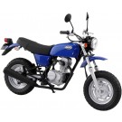 1/12 ザ・バイクシリーズ No.40 ホンダ HC07 エイプ 100 '06 アオシマ, AOS68830, by アオシマ