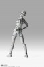S.H.Figuarts ボディちゃん -スポーツ- Edition -ワイヤーフレーム-(Gray Color Ver.) バンダイ, BAC73084, by バンダイ