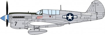 1/48 P-40N ウォーホーク ナチュラルメタル エーセス ハセガワ, HAS75160, by ハセガワ