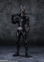 S.H.Figuarts 仮面ライダーBLACK SUN バンダイ, BAC33309, by バンダイ