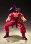 S.H.Figuarts ドラゴンボール 孫悟空 界王拳 バンダイ, BAN91821, by バンダイ