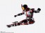 S.H.Figuarts  (真骨彫製法) 仮面ライダーファイズ バンダイ, BAC50474, by バンダイ