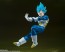 S.H.Figuarts ドラゴンボール超 スーパーサイヤ人ゴッドスーパーサイヤ人ベジータ-貫き通すサイヤ人の誇り- バンダイ, BAC64587, by バンダイ