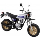 1/12 ザ・バイクシリーズ No.41 ホンダ HC07 エイプ 100 Deluxe '08 アオシマ, AOS68823, by アオシマ