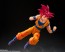 S.H.Figuarts ドラゴンボール超 超サイヤ人ゴッド孫悟空〈神の気を纏いし姿〉 バンダイ, BAC97844, by バンダイ