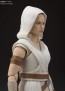 S.H.Figuarts  レイ & D-O (STAR WARS: The Rise of Skywalker) (再販) バンダイ, BAC60503, by バンダイ