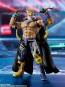 S.H.Figuarts TEKKEN 8 キング バンダイ, BAC73909, by バンダイ
