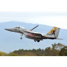 1/72 航空自衛隊 F-15J イーグル 第305飛行隊 新田原基地エアフェスタ2022 記念塗装機 プラッツ, PLZ86935, by プラッツ