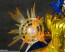 Figuarts Zero Touche Metallique 聖闘士星矢 ジェミニサガ バンダイ, BAC86497, by バンダイ