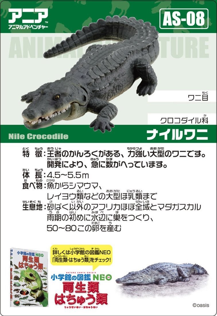 アニア AS-08 ナイルワニ タカラトミー | 東京ホビーポータル