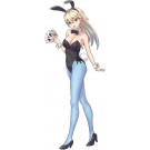 1/12 12たまごガールズ コレクション No.46 ルーシー マクドネル (バニーガール) ハセガワ, HAS24293, by ハセガワ