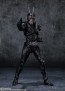 S.H.Figuarts 仮面ライダーBLACK SUN バンダイ, BAC33309, by バンダイ