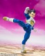 S.H.Figuarts ドラゴンボールDAIMA ベジータ-DAIMA- バンダイ, BAC73459, by バンダイ