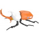 自由研究シリーズ  No.211 ウルトラマンシリーズ編 カブトムシ 科学特捜隊仕様 フジミ, FUJ71265, by フジミ