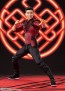 S.H.Figuarts シャン・チー (シャン・チー/テン・リングスの伝説) バンダイ, BAN13752, by バンダイ