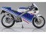 スカイネット 1/12 Honda NSR250R '88 テラブルー/ロスホワイト アオシマ, AOS11574, by アオシマ