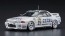1/24 ZEXEL スカイライン(スカイラインGT-R[BNR32 Gr.A仕様]1991 スパ24時間レースウィナー) ハセガワ, HAS05659, by ハセガワ
