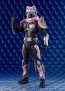 S.H.Figuarts 仮面ライダーバイス レックスゲノム バンダイ, BAC29913, by バンダイ