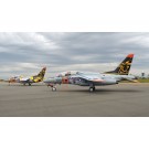 1/100 航空自衛隊 T-4 エアフェスタ浜松 空自70周年記念塗装機 2機セット プラッツ, PLZ23241, by プラッツ