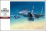 1/48 F-15C ｲｰｸﾞﾙ ハセガワ, HAS72497, by ハセガワ