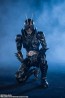 S.H.Figuarts 仮面ライダーBLACK SUN バンダイ, BAC33309, by バンダイ