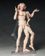 figma ウィトルウィウス的人体図 (テーブル美術館) (再販) フリーイング, FRE13954, by FREEing