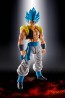 S.H.Figuarts ドラゴンボール スーパーサイヤ人ゴッドスーパーサイヤ人ゴジータ バンダイ, BAN54086, by バンダイ