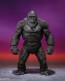 S.H.MonsterArts KONG FROM GODZILLA x KONG: THE NEW EMPIRE (2024) バンダイ, BAC60459, by バンダイ