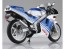 スカイネット 1/12 Honda NSR250R '88 テラブルー/ロスホワイト アオシマ, AOS11574, by アオシマ