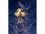 1/7 原神 フィッシュル アルター, ALT06807, by アルター