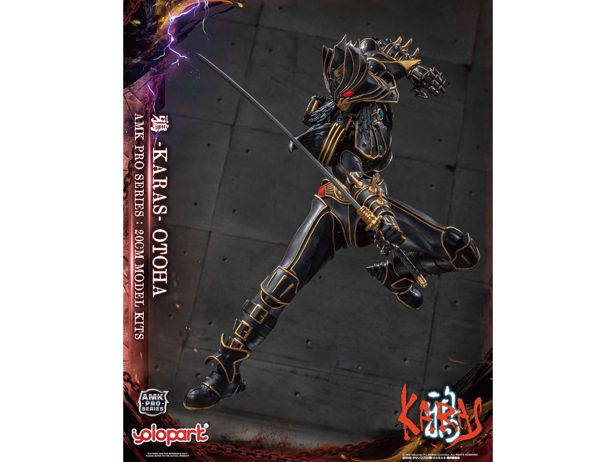 AMK PROシリーズ 20cm 鴉-KARAS- 乙羽鴉 リジェネラートVer. 童友社