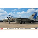 1/72 F-14D トムキャット “VF-213 ブラックライオンズ ラストクルーズ” ハセガワ, HAS24069, by ハセガワ