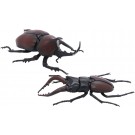 自由研究シリーズ いきもの編 クワガタムシvsカブトムシ 対決セット フジミ, FUJ70862, by フジミ