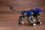 1/72 ZOIDS RZ-007 シールドライガー マーキングプラスVer. コトブキヤ, KBY39111, by コトブキヤ