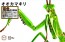 自由研究シリーズ いきもの編 オオカマキリ (茶色) フジミ, FUJ70978, by フジミ